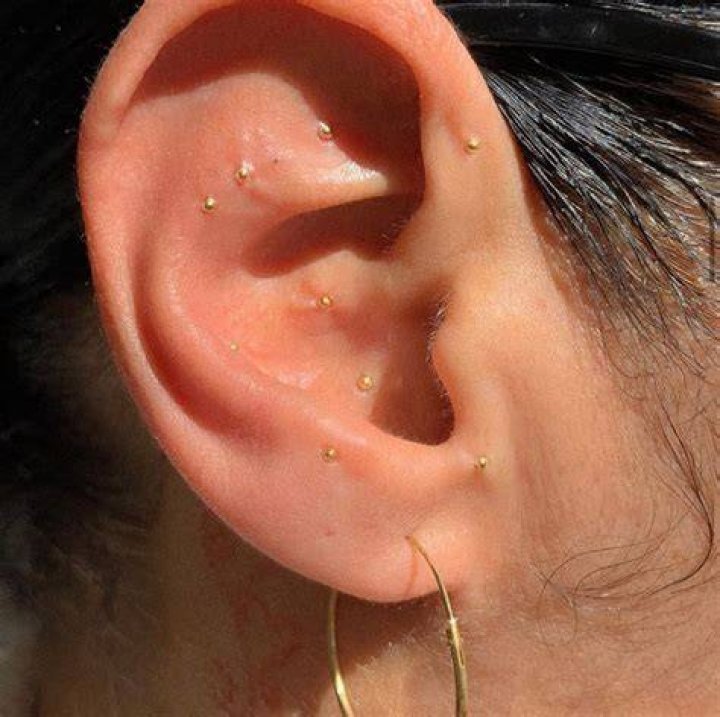 24k Gold Ear Seeds