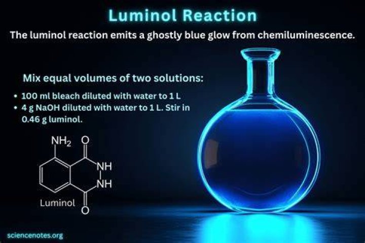 Does luminol react to bleach?