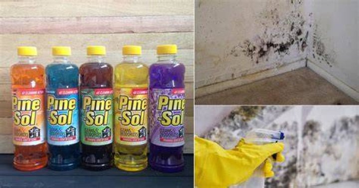 Does Pine-Sol kill fungus in laundry?