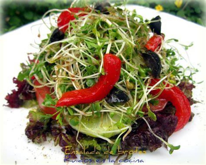 Ensalada con brotes de cebolla