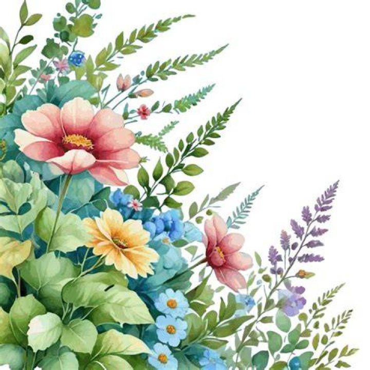 floral floral