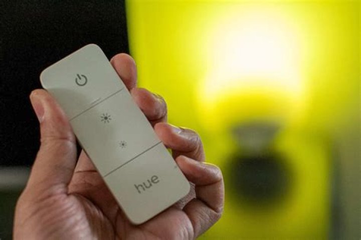 How do you set up a Philips Hue light switch?