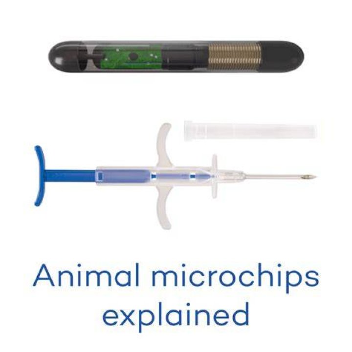 How much are microchips at PetSmart?