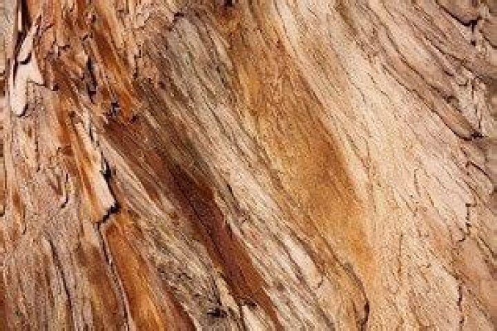 How Much Does Cypress Lumber Cost?