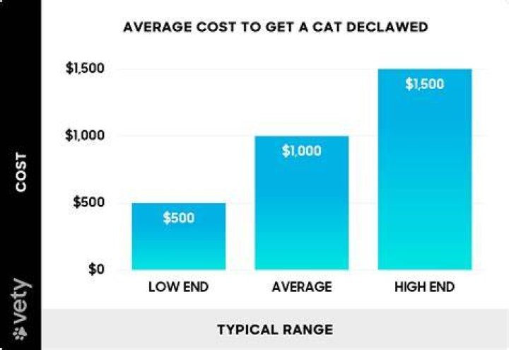 How Much Does it Cost to Declaw a Cat?
