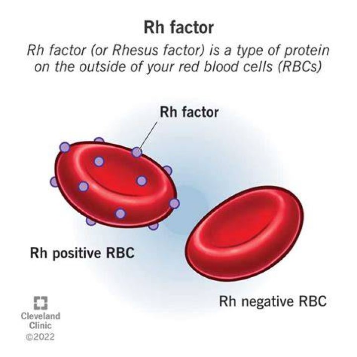 How rare is O negative Rh negative?
