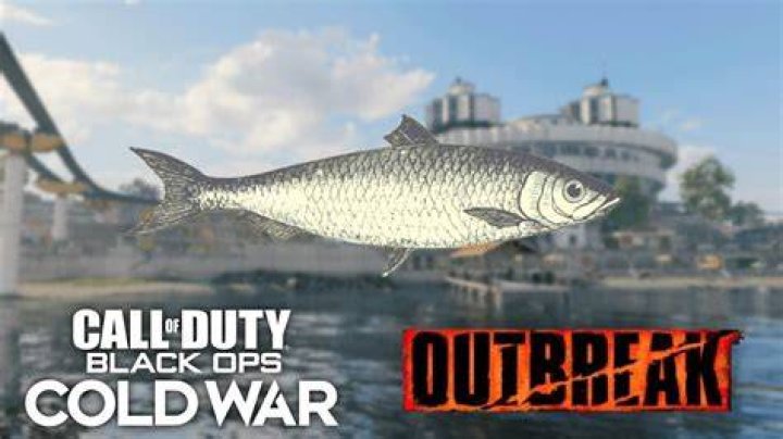 How To Fish In Oubtreak And Cold War Zombies