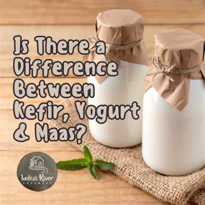 Is Maas the same as kefir?