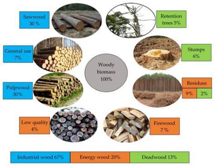 Is timber considered a renewable resources?