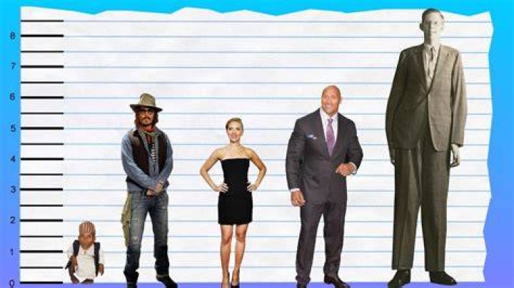 Johnny Depp Height How Tall is The Pirates of the Caribbean's Actor