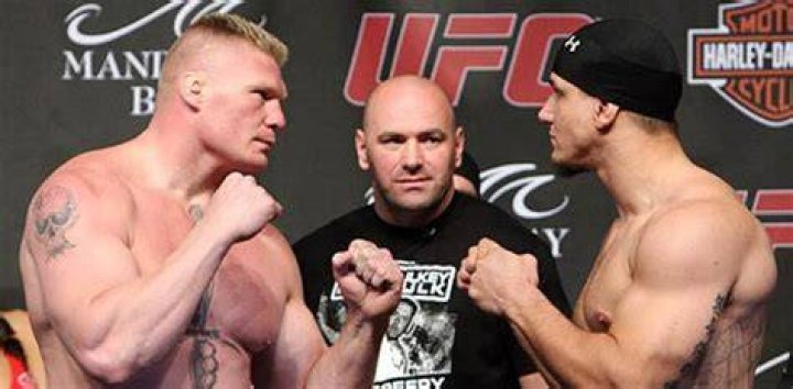 Lesnar vs Mir