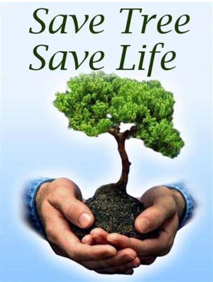 like Save Trees Save LifeHogtie Escape ChallengePunishment Video