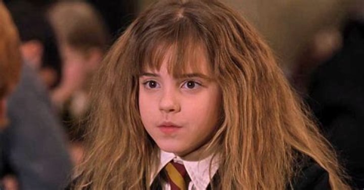 Layla, 'Sky High' <p>Between Lilly and Hermione Granger, you'll notice a lot of nerds tend to be impassioned and involved in activism that targets unfair power structures. Layla (Danielle Panabaker) joins the sidekick section of her superhero school because she protests the unfair two-track system of "sidekick" and "superhero." (Which, really, what a terrible way to organize education.) </p>