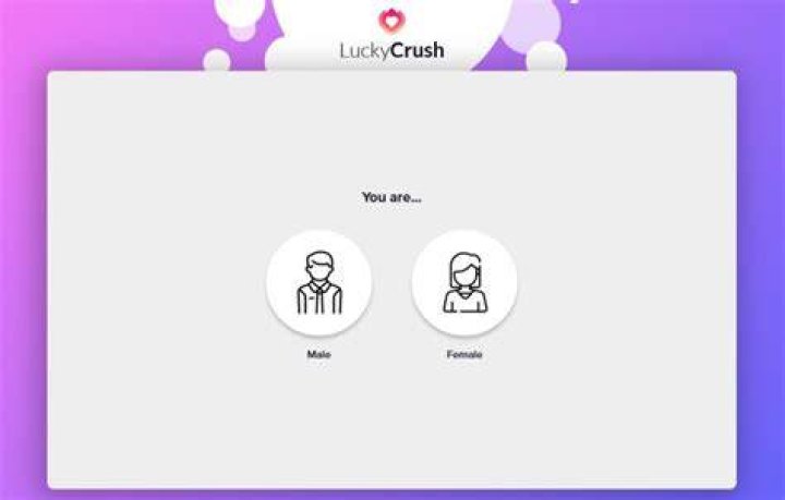 LuckyCrush Review August 2024 Is it worth your time? DatingScout
