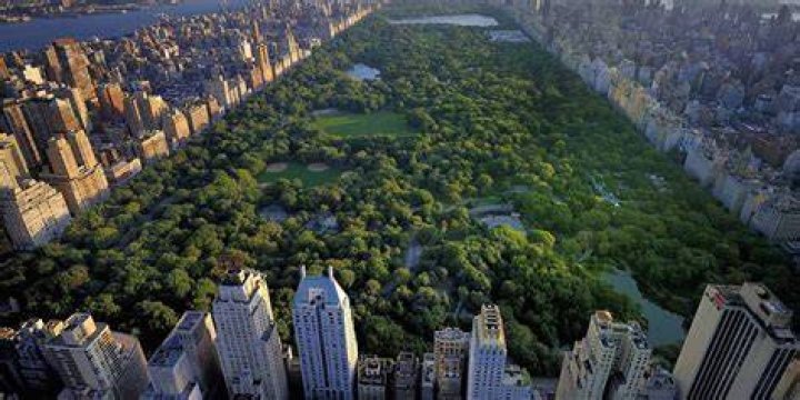 Nueva York Central Park Nueva York Central Park