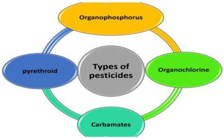 Organochlorine pesticides.