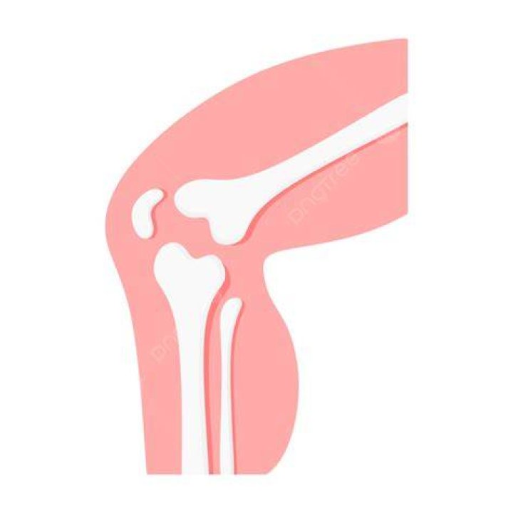 Pink, Joint, Muscle, 