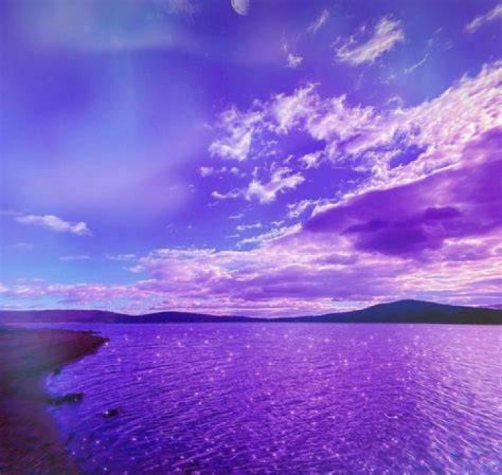 Purple, Violet, Screenshot, Sky, 