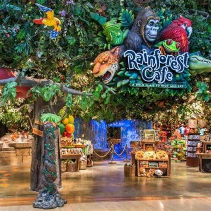 rainforest cafe application tips