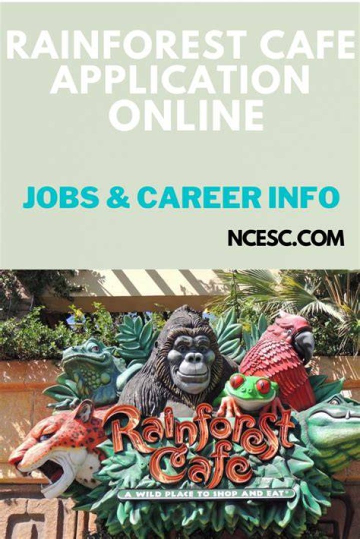 rainforest cafe application
