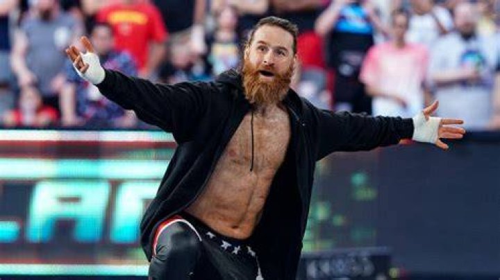 Sami Zayn - Wrestlezone