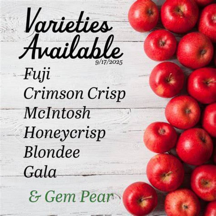The Available Varieties