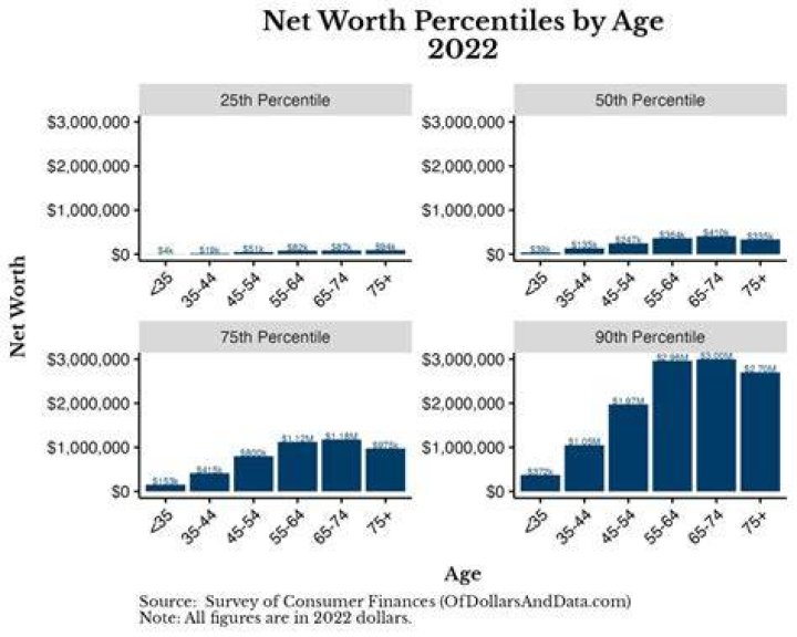 Their Age and Net Worth Differences
