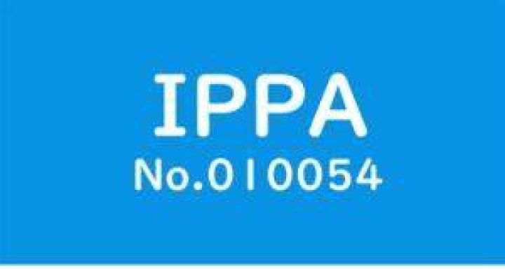 Understanding The 010054 IPPA: A Comprehensive Guide