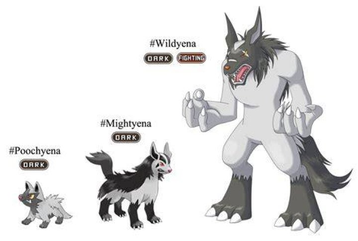 What does a Mightyena evolve into?