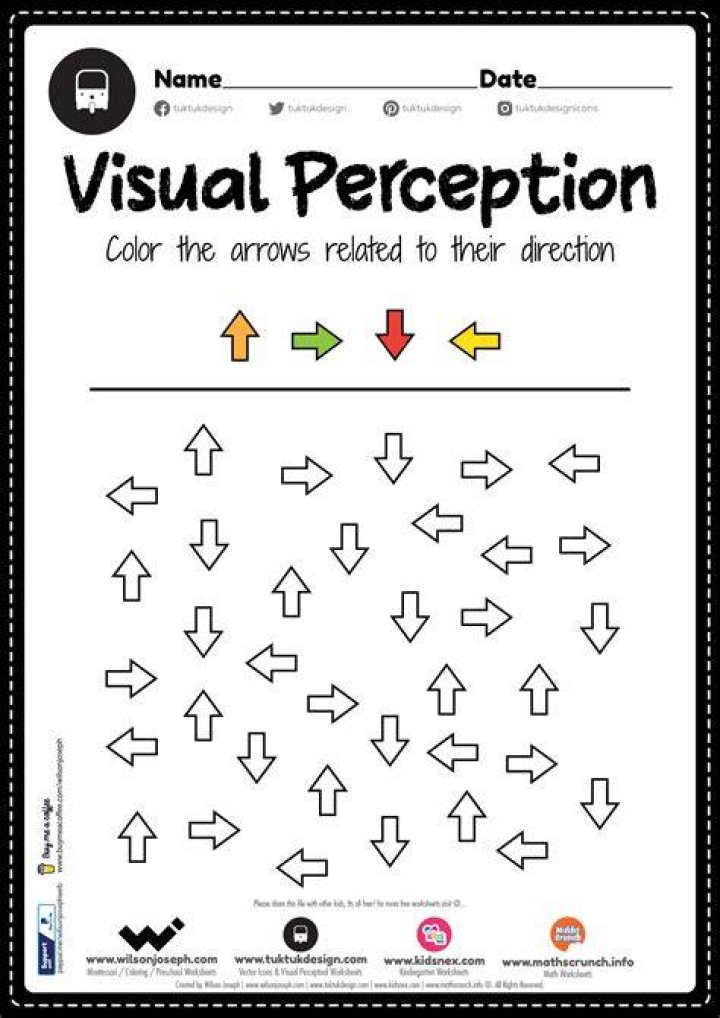 What is a visual discrimination task?