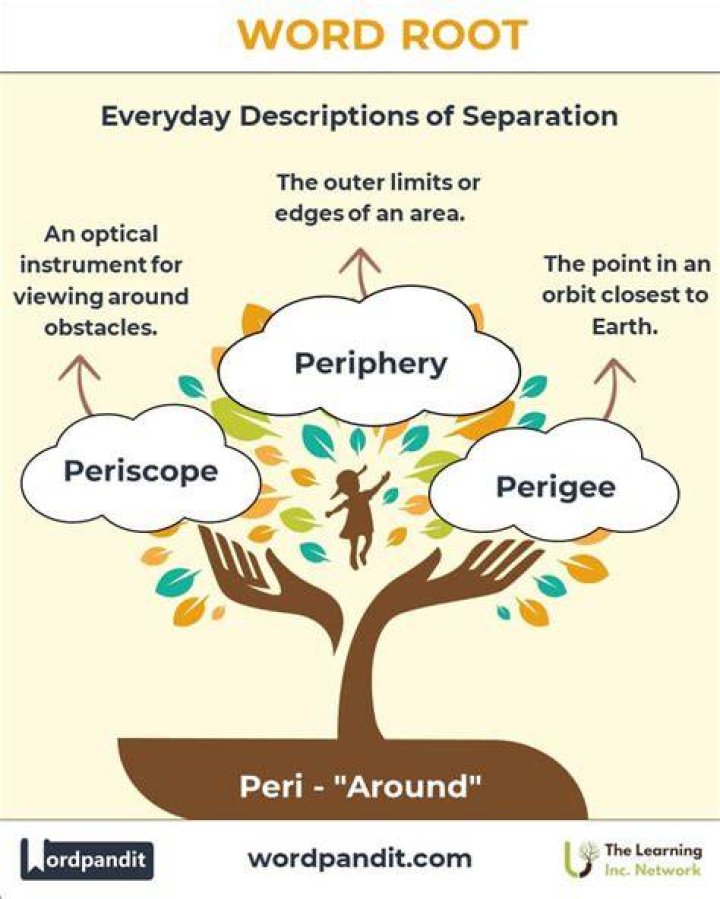 What Is The Root Word Peri? (Solved)