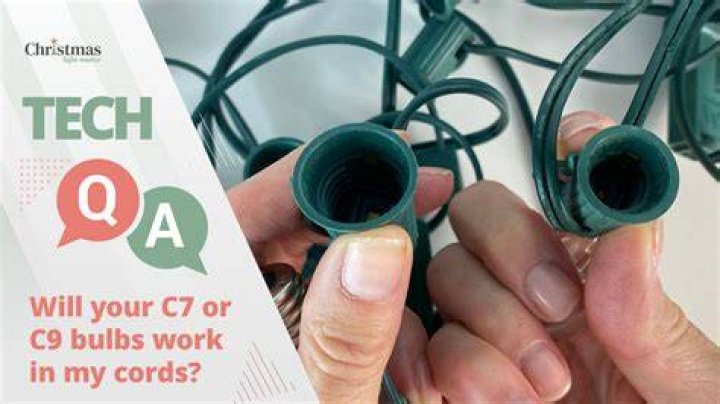 When should you force Christmas bulbs?