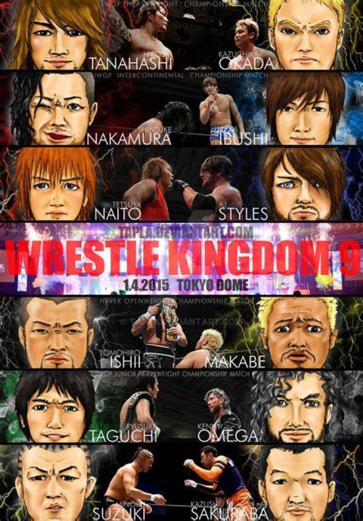 wrestle kingdom 9